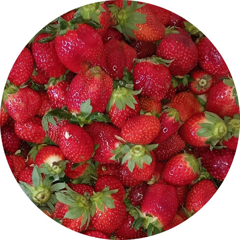 Strawberry Fruit